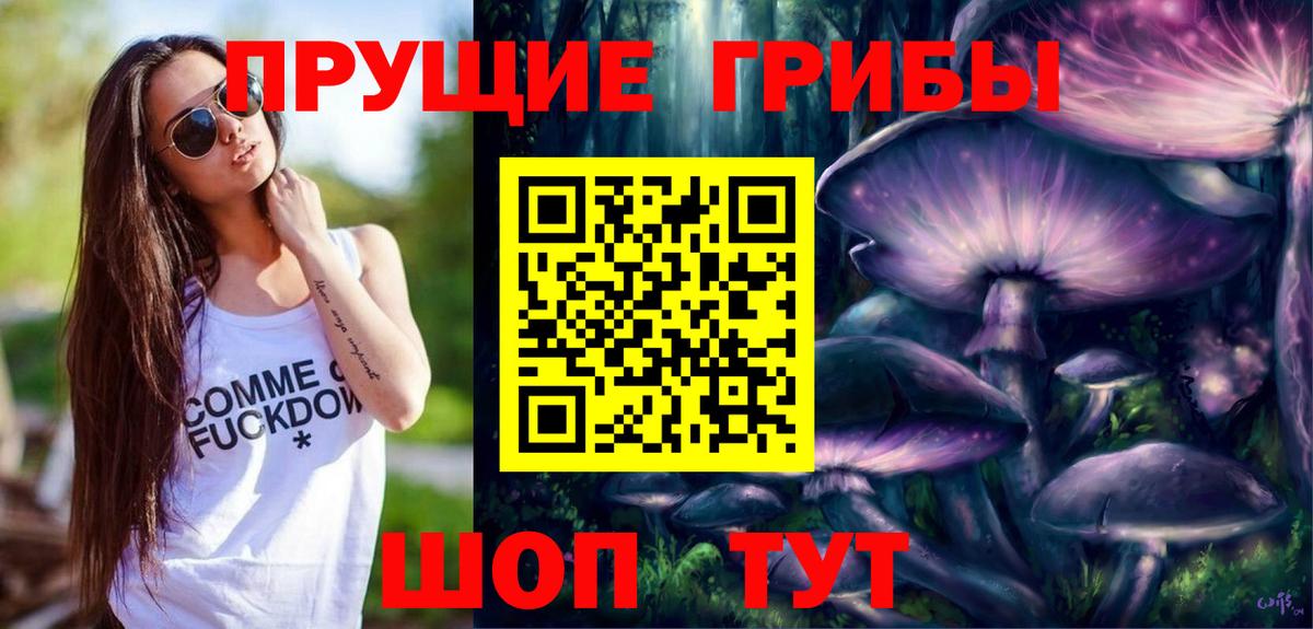 Псилоцибиновые грибы Psilocybe Качканар